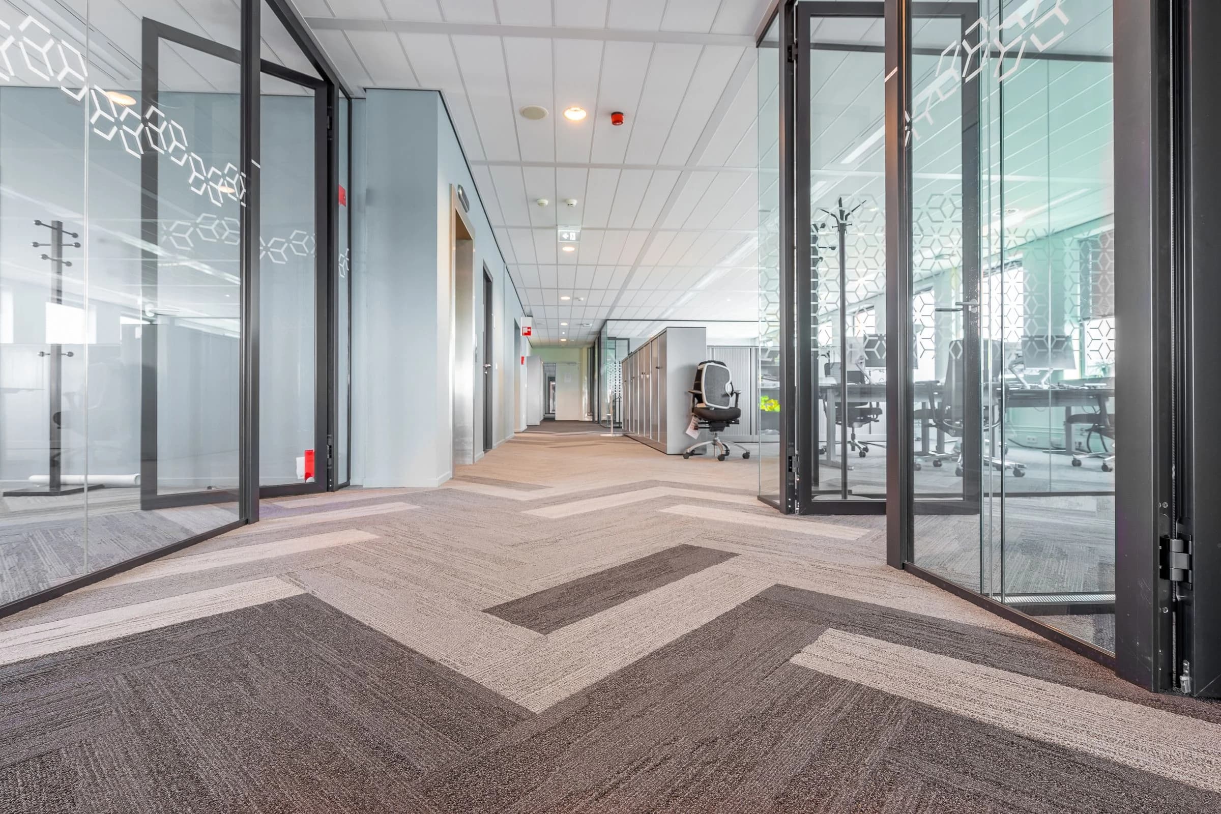 Glass office partitions and doors defining rooms along a carpeted corridor