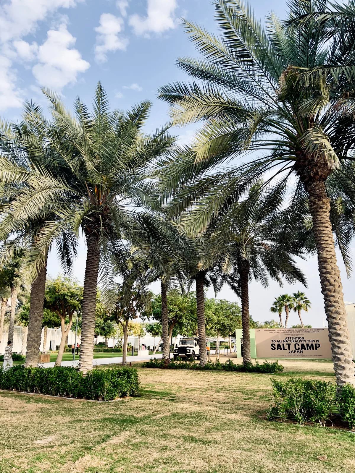 Maintained palm trees, lawns and planted borders in an Abu Dhabi park